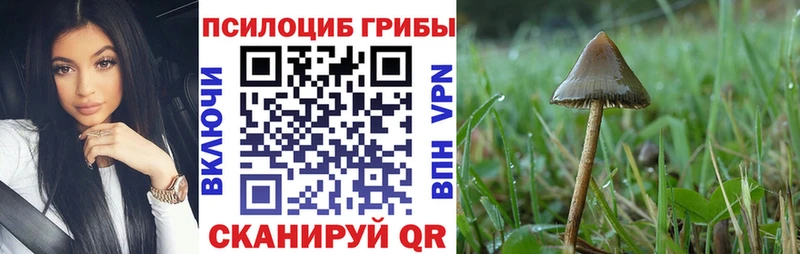 MEGA ссылки  Усть-Джегута  Псилоцибиновые грибы GOLDEN TEACHER 