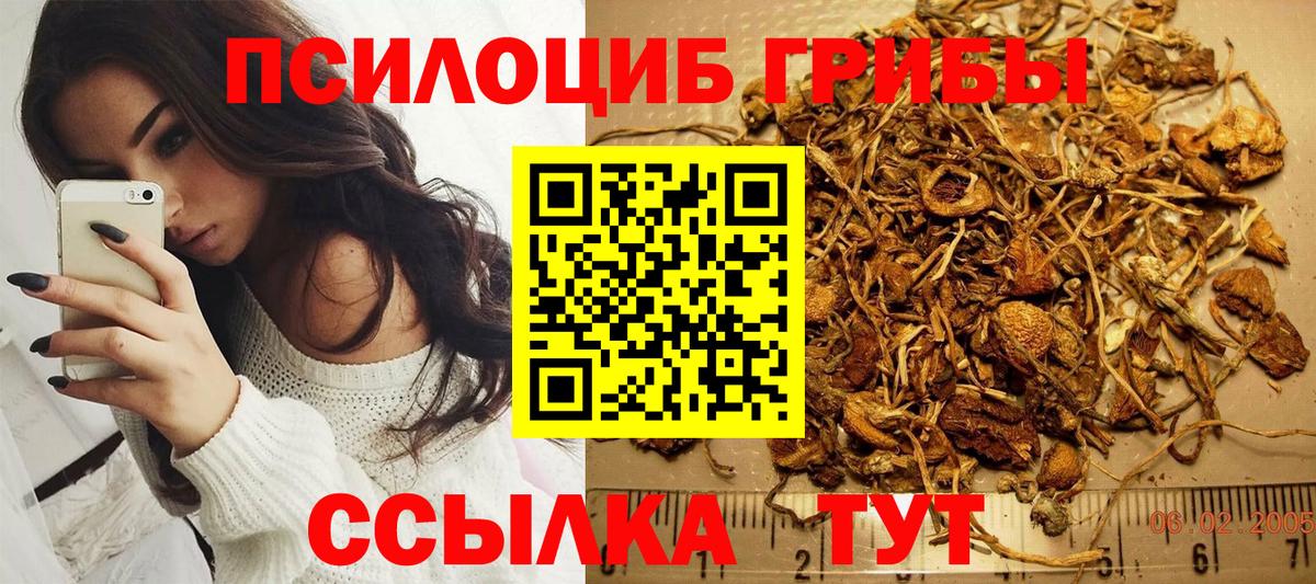 Галлюциногенные грибы мицелий Усть-Джегута