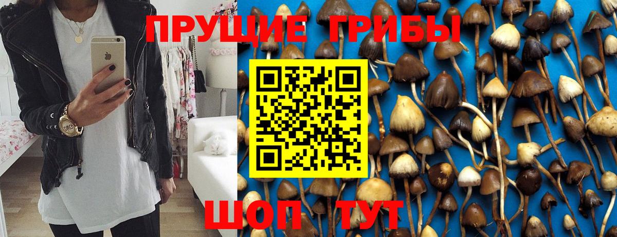Галлюциногенные грибы Magic Shrooms  Галлюциногенные грибы ЛСД  Усть-Джегута  Вход с VPN 